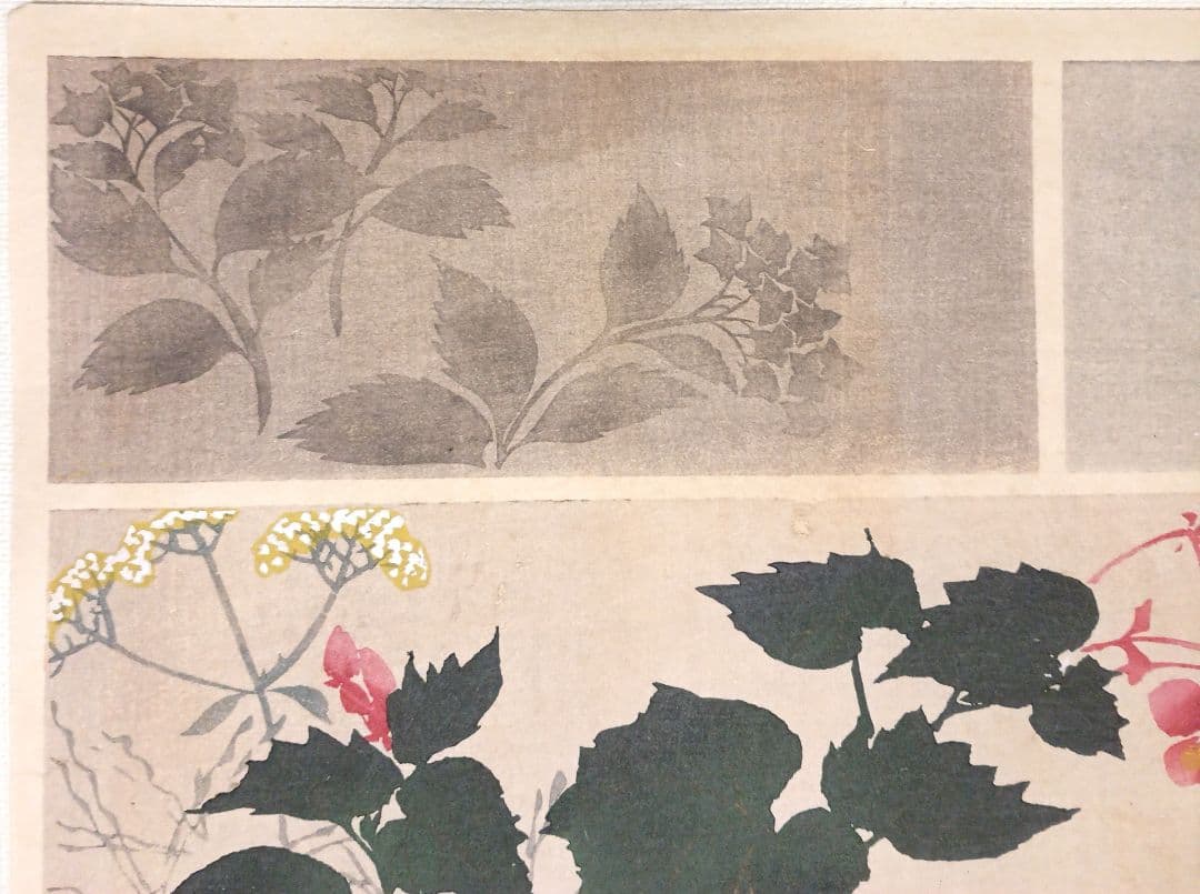 琳派図案版画（色摺版画)、作者不詳、明治後期～昭和初期出版