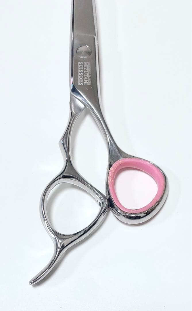 ミズタニシザーズ