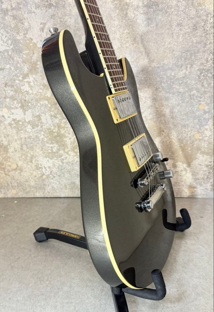 【希少】FERNANDES APG series 整備・清掃・弦交換済み