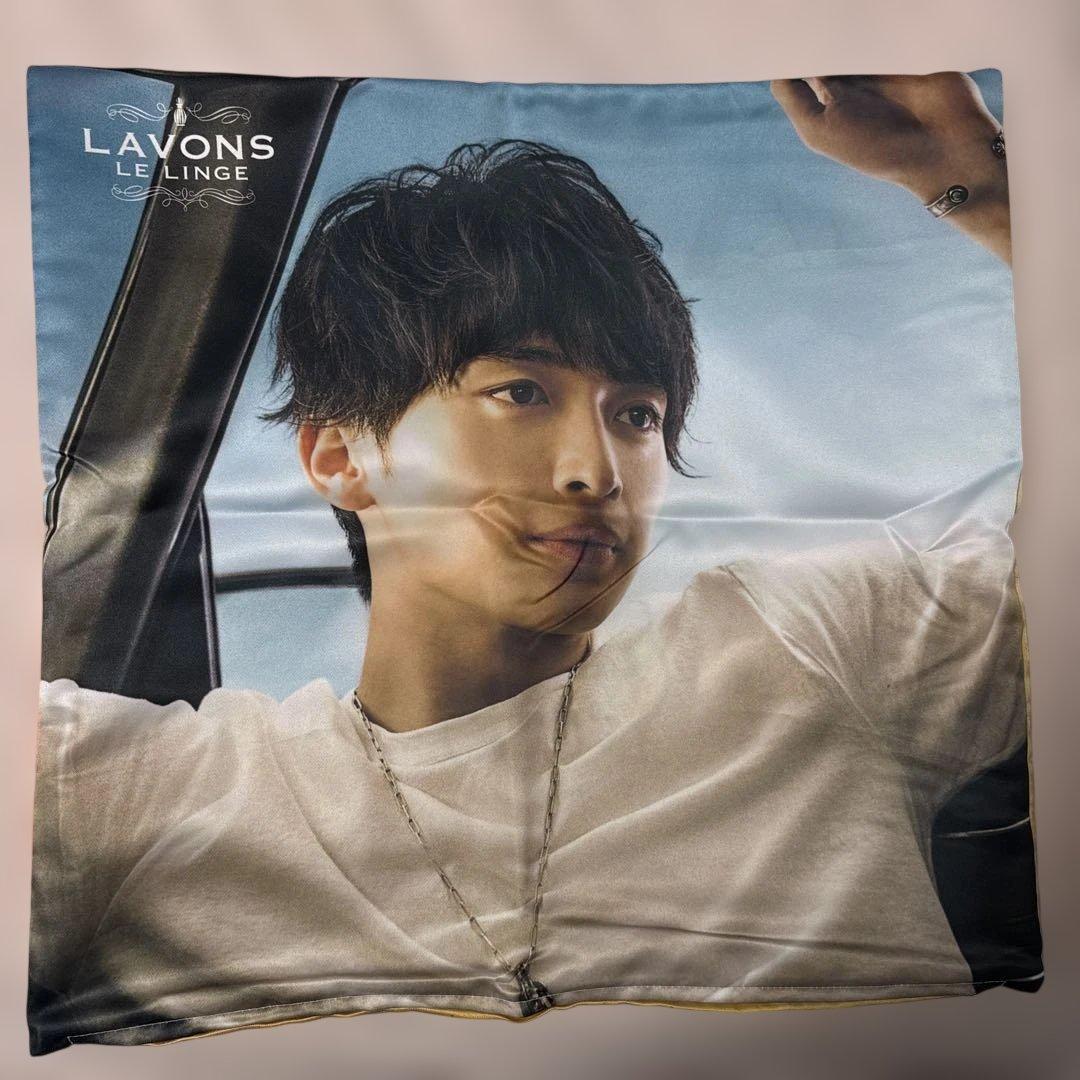 LAVONS ラボン　玉森裕太　クッションカバー