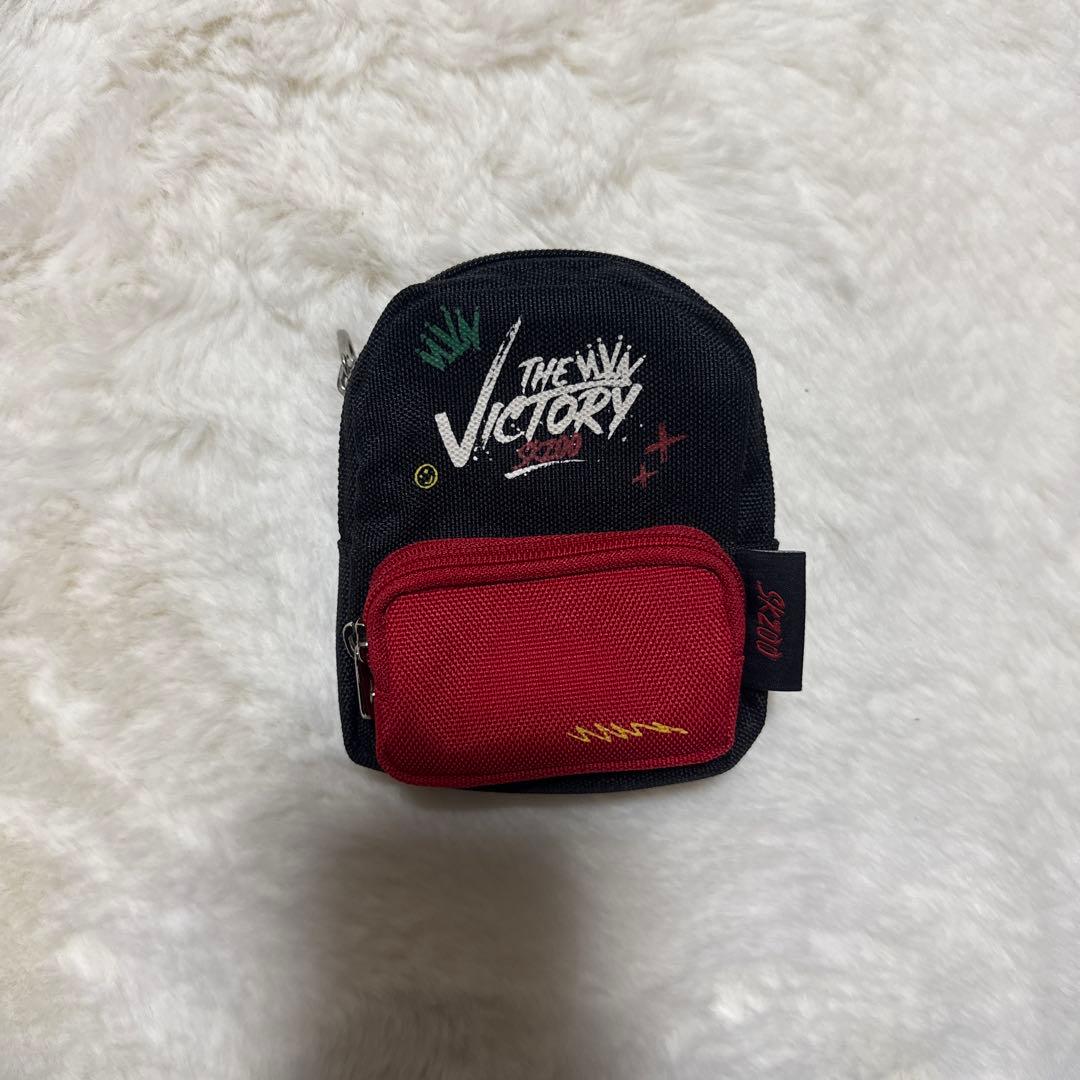 StrayKids スンミン PuppyM 17点 まとめ売り