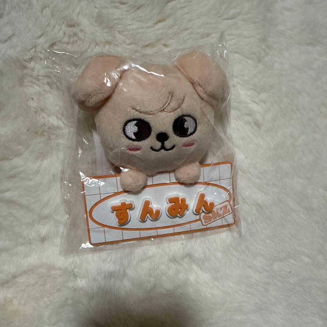 StrayKids スンミン PuppyM 17点 まとめ売り