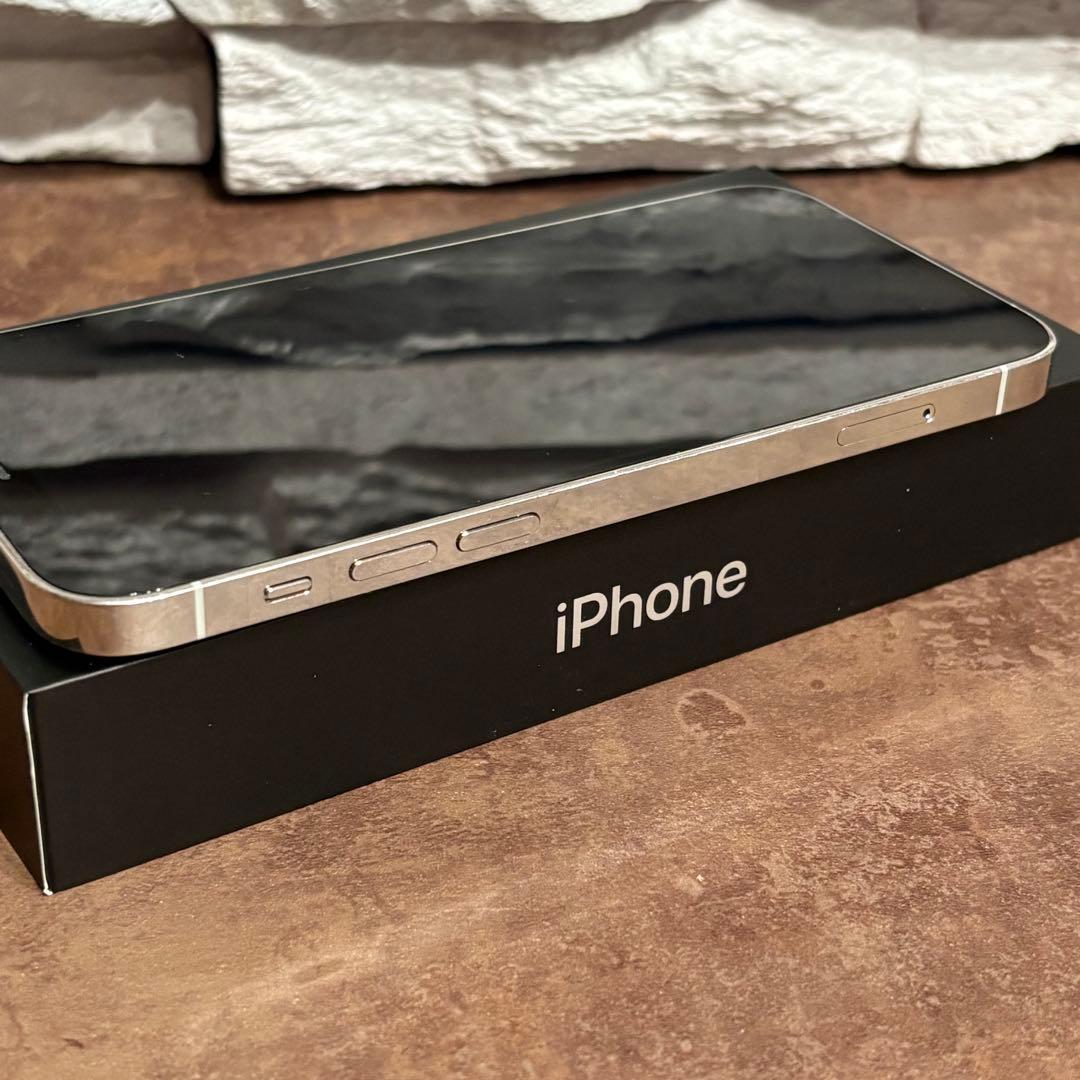 iPhone 12 Pro シルバー 256GB SIMフリー 初期化済み