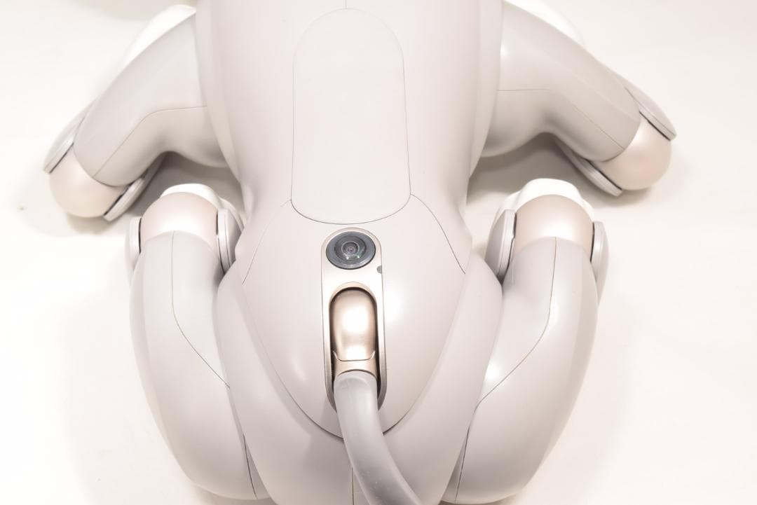 希少 ソニー SONY アイボ ERS-1000 黒ごまエディション 限定モデル