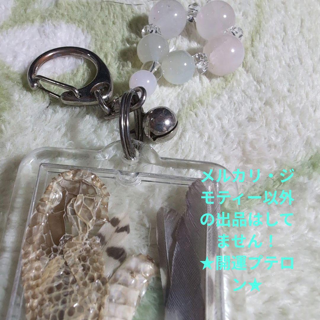 呪物　曰く付き　開運　珍品　新品　コゲラの羽とアオダイショウの皮　キーホルダー