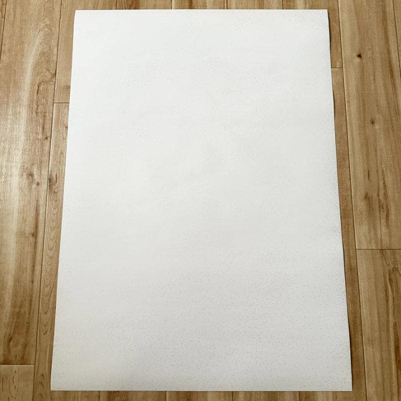 2枚セット PS4 デス・ストランディング ポスター B2サイズ 販促 非売品