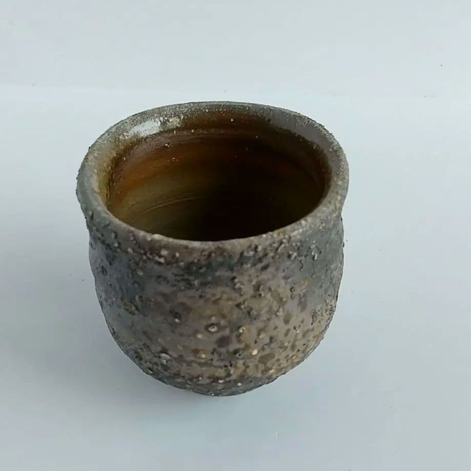 備前焼　酒器　作家 伊勢崎 創　窯変 瓢箪 酒器 揃