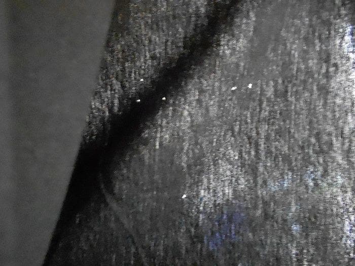 REBECCA レベッカ 2015 横浜アリーナ スタッフクルー Ｔシャツ