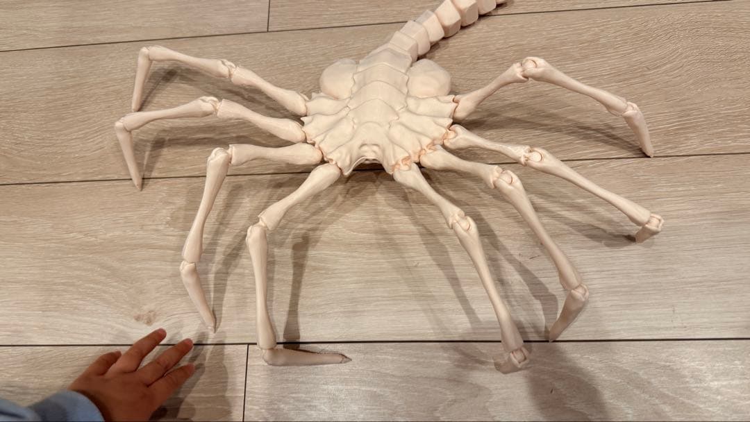 【エイリアン/Alien】可動関節式！超リアル実物大 フェイスハガー3Dプリント