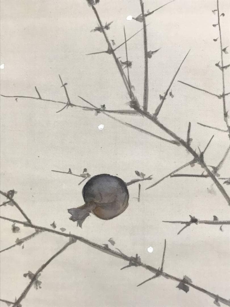 【真作】東原方僊/ザクロ小禽図/柘榴図/花鳥図/掛軸/名家伝来/AD-359