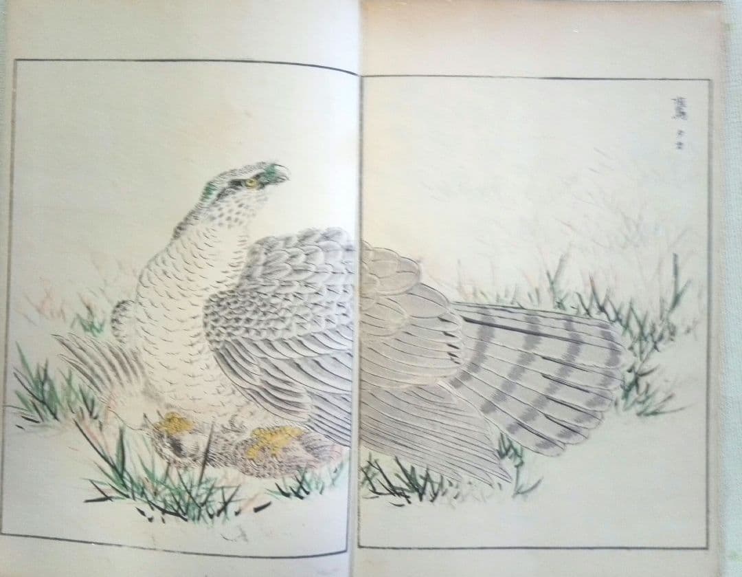 木版画本聚鳥畫譜大正5年再版三冊揃い天、地、人沼田荷舟画初版は明治18年～22年