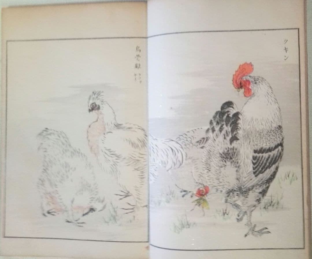 木版画本聚鳥畫譜大正5年再版三冊揃い天、地、人沼田荷舟画初版は明治18年～22年