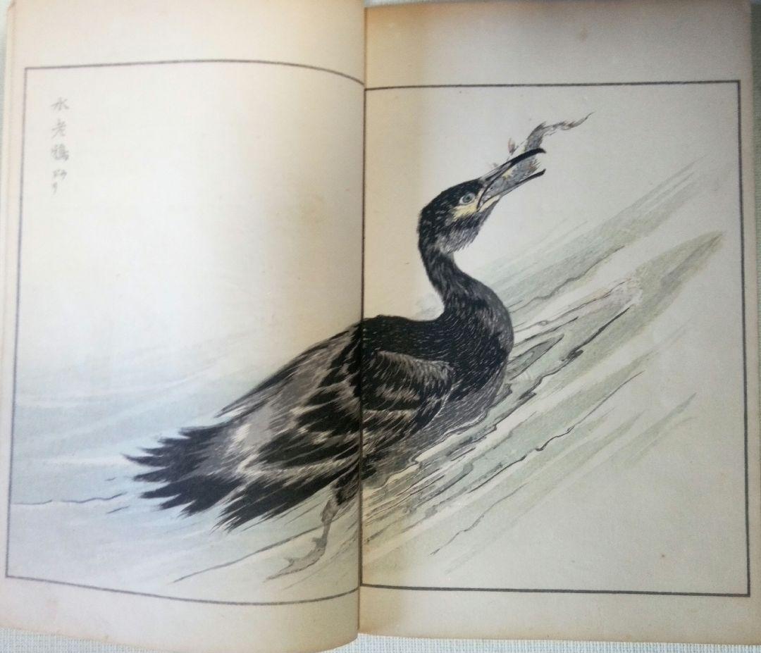 木版画本聚鳥畫譜大正5年再版三冊揃い天、地、人沼田荷舟画初版は明治18年～22年