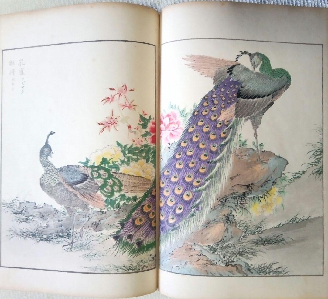 木版画本聚鳥畫譜大正5年再版三冊揃い天、地、人沼田荷舟画初版は明治18年～22年