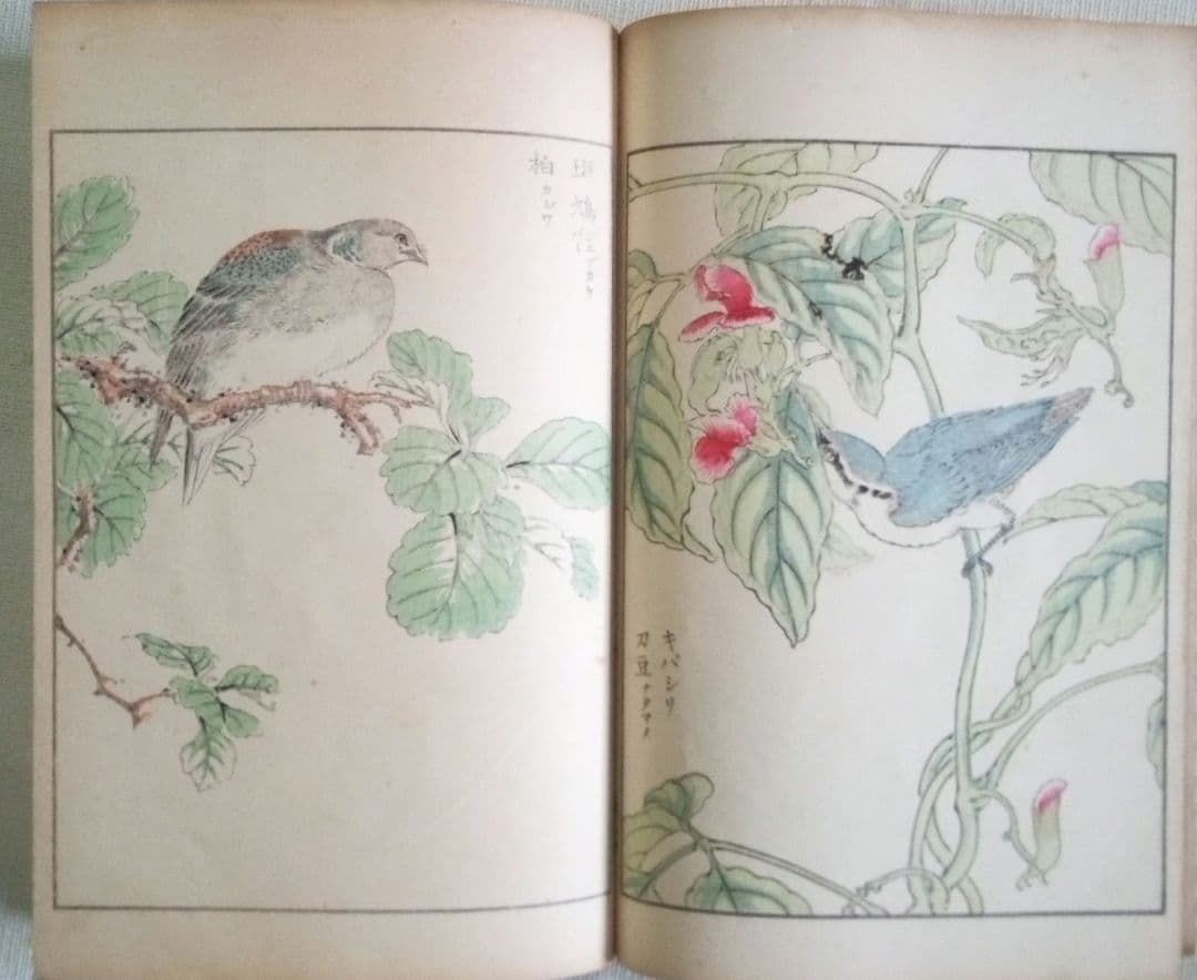 木版画本聚鳥畫譜大正5年再版三冊揃い天、地、人沼田荷舟画初版は明治18年～22年