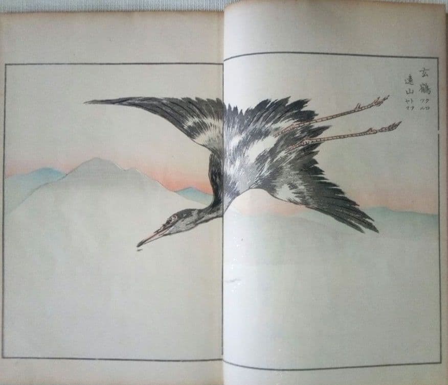 木版画本聚鳥畫譜大正5年再版三冊揃い天、地、人沼田荷舟画初版は明治18年～22年