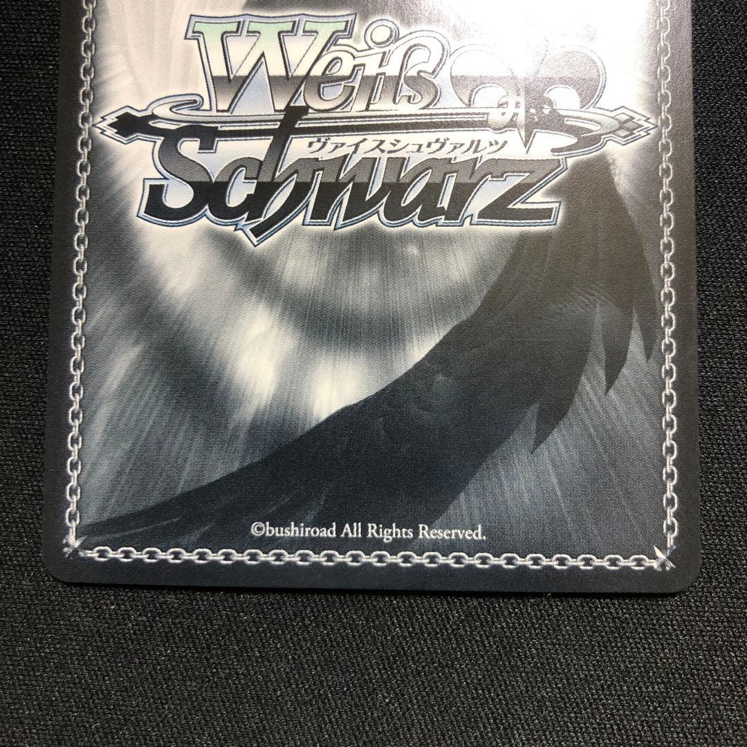 ヴァイスシュヴァルツ レーゲンスブルク SP