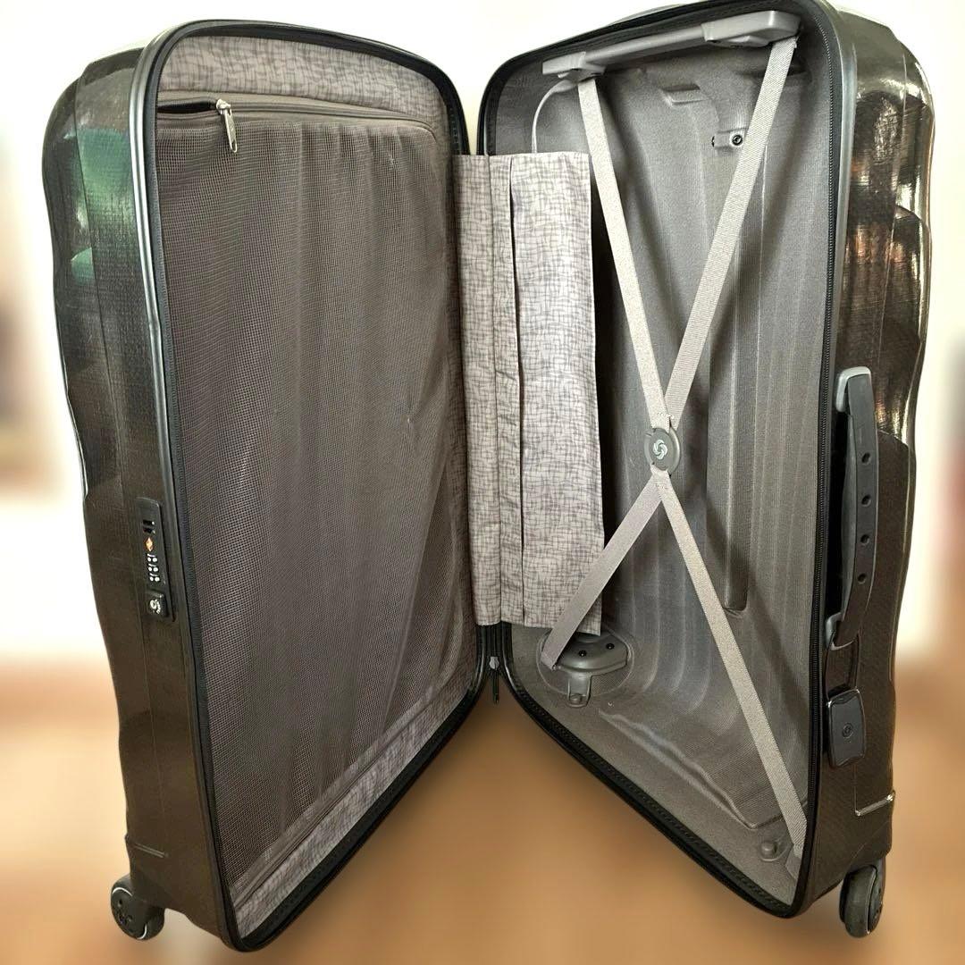 ブラックストライプキャリーケース