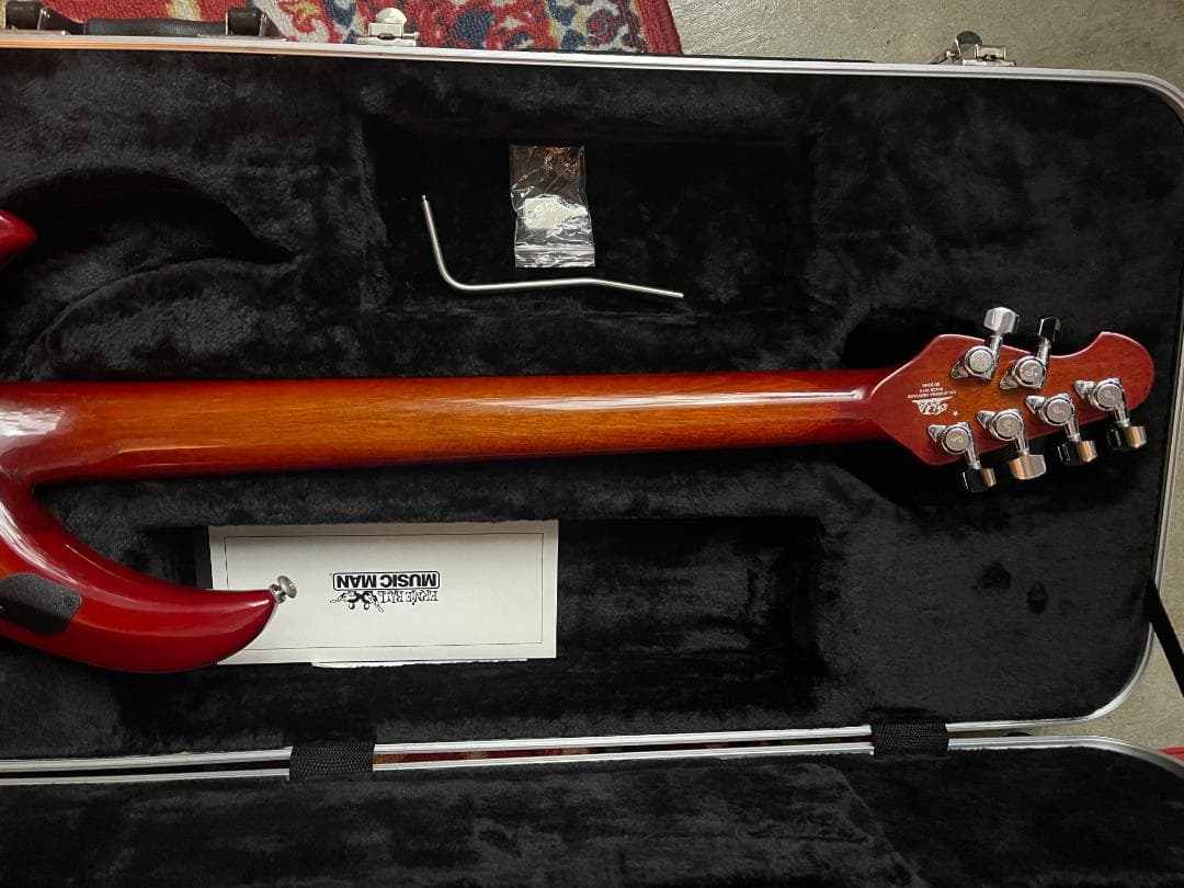 ギター AndrewD2021 Ernie Ball Jon Petrucci