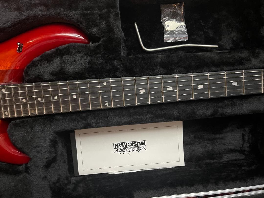 ギター AndrewD2021 Ernie Ball Jon Petrucci