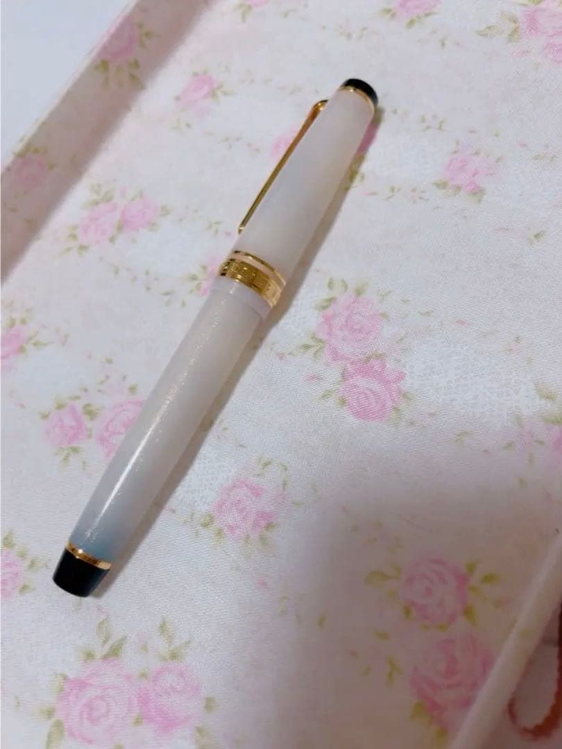 セーラー万年筆　名月