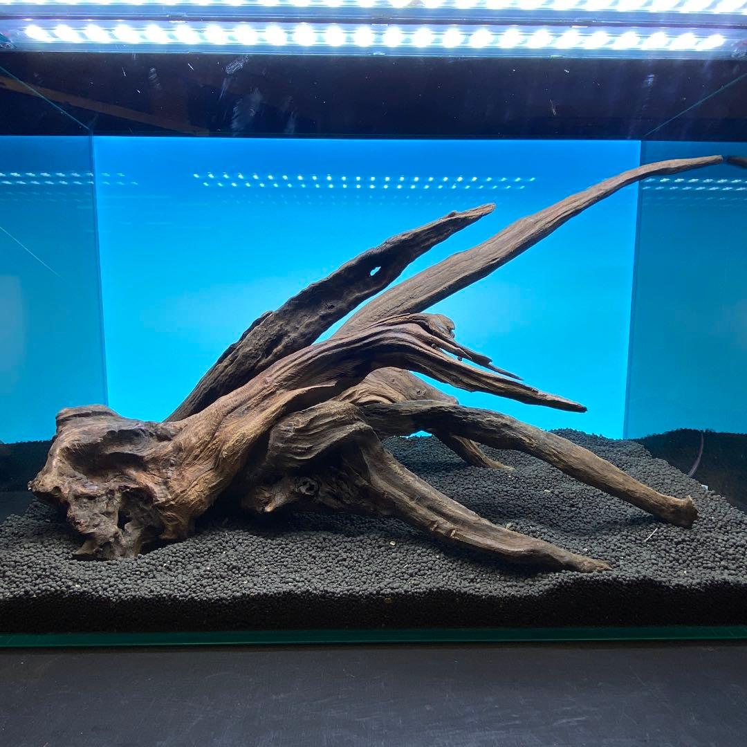 MRW-6731 赤系天然流木レイアウトセット　60cm水槽用流木　アクアリウム