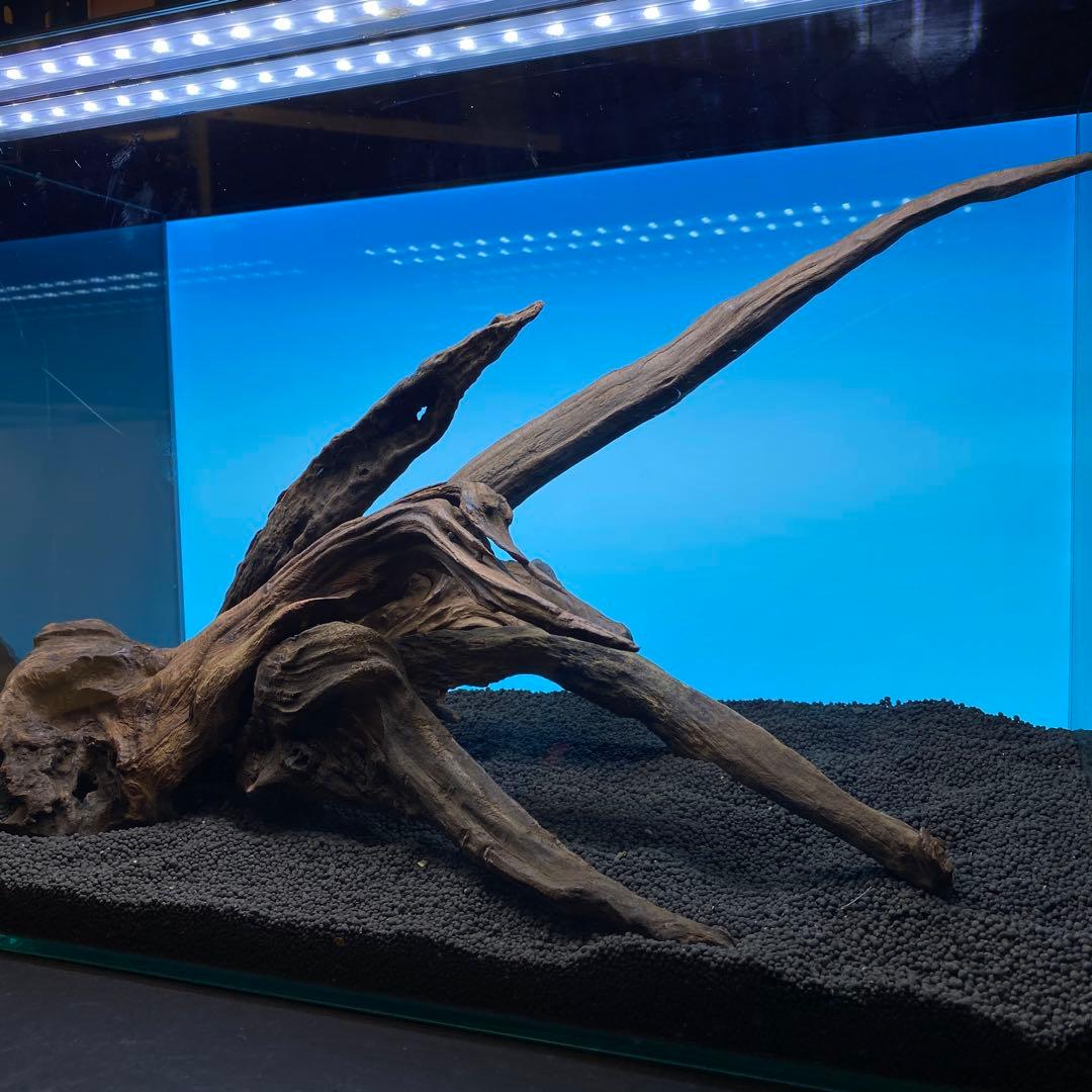 MRW-6731 赤系天然流木レイアウトセット　60cm水槽用流木　アクアリウム