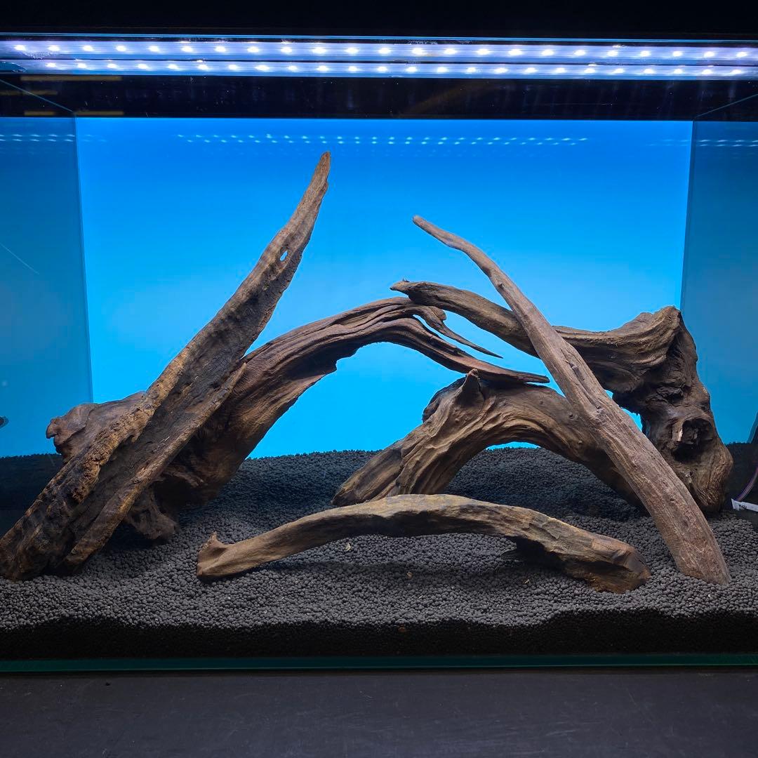 MRW-6731 赤系天然流木レイアウトセット　60cm水槽用流木　アクアリウム