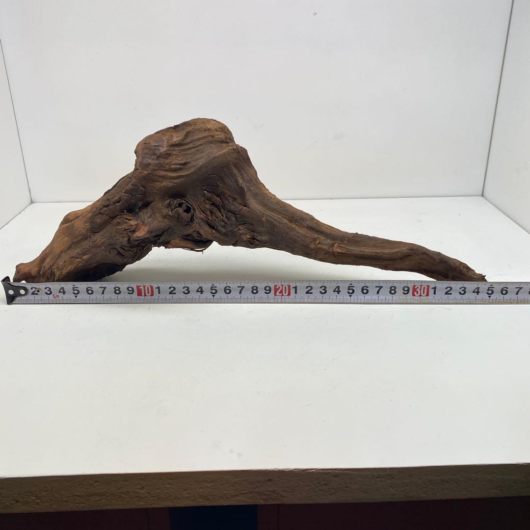 MRW-6731 赤系天然流木レイアウトセット　60cm水槽用流木　アクアリウム