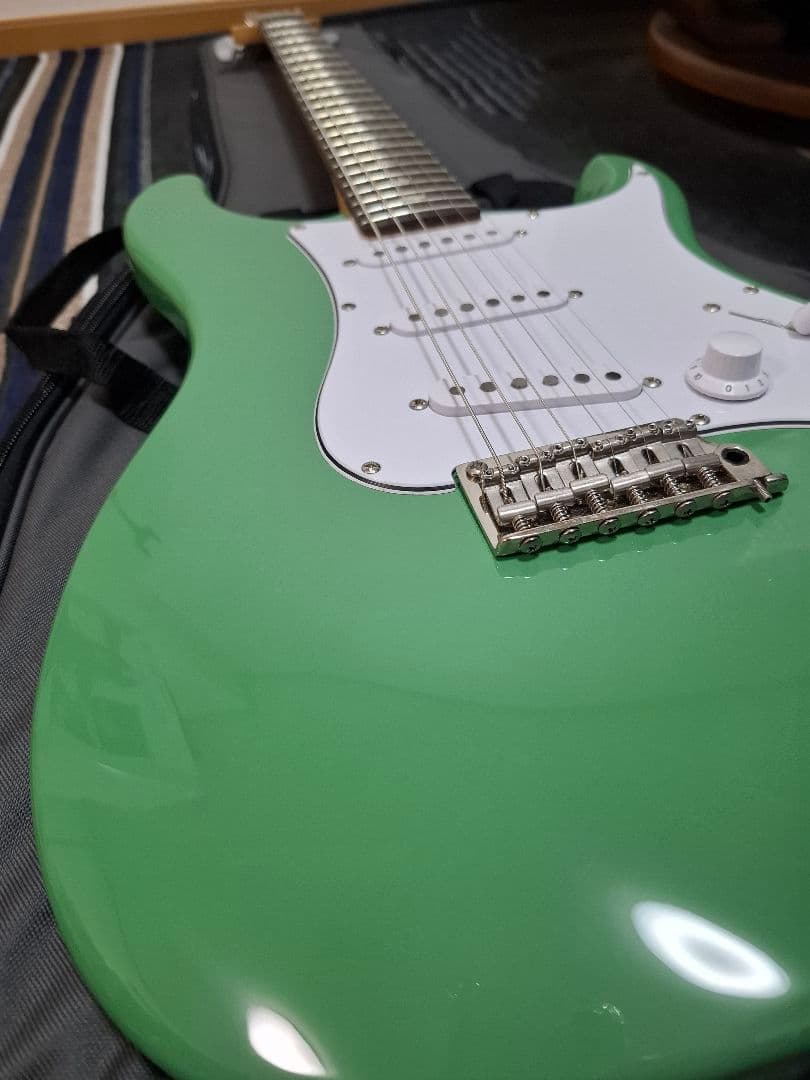 ギター Paul Reed Smith SE Siver Sky Ever Green