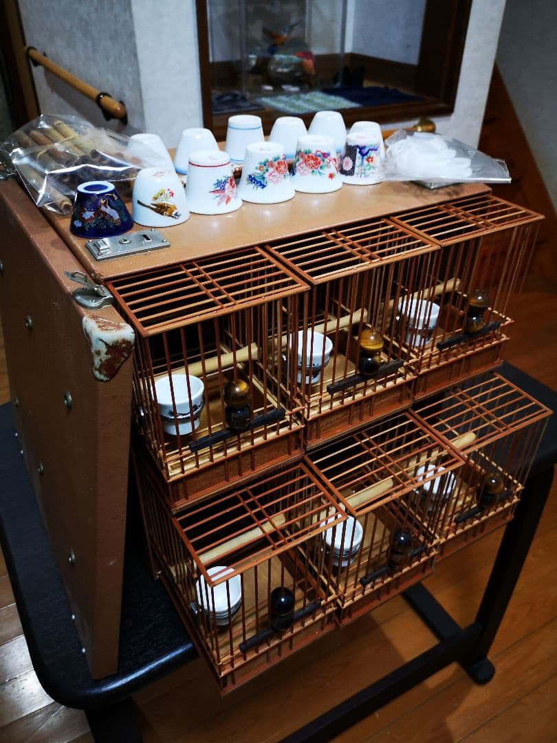 《季節限定出品》メジロ籠&寝かせ籠【最高級/優良籠】※真鍮製餌受　※限定購入特典