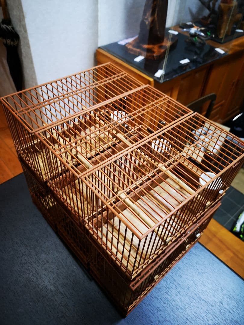 《季節限定出品》メジロ籠&寝かせ籠【最高級/優良籠】※真鍮製餌受　※限定購入特典