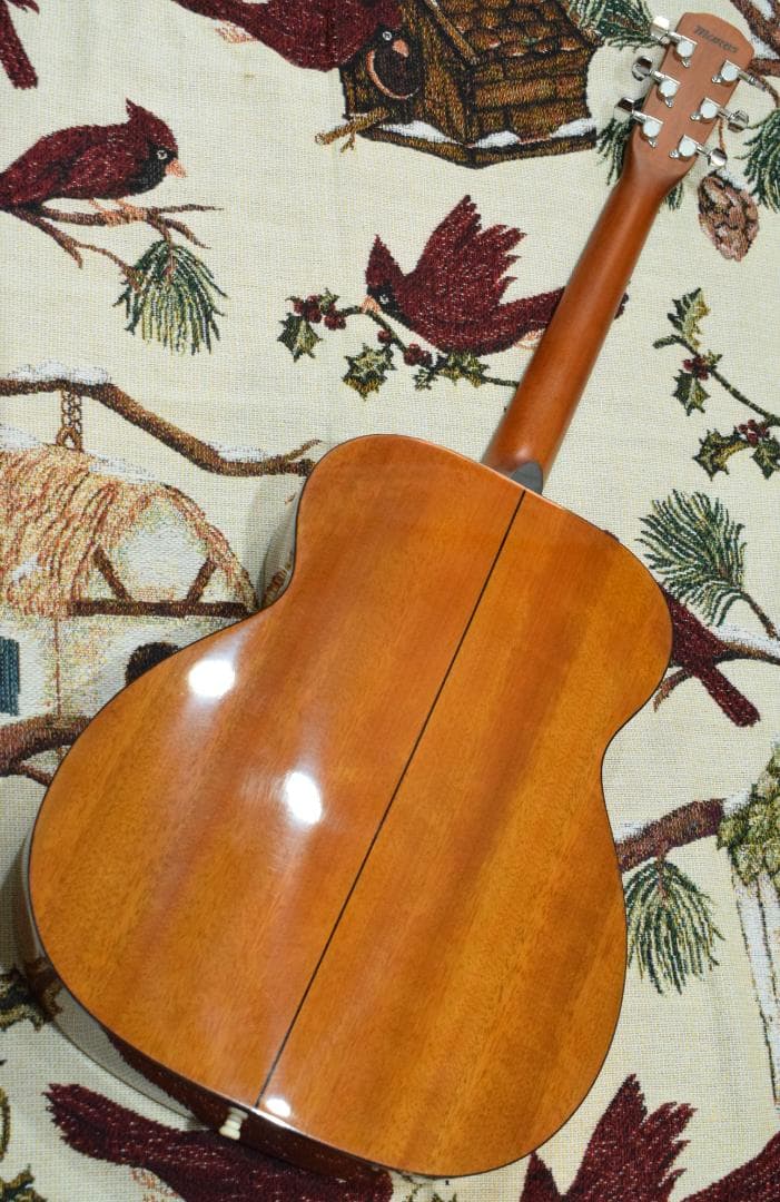 Morris F-01 II NAT 状態良好 ソフトケース付き