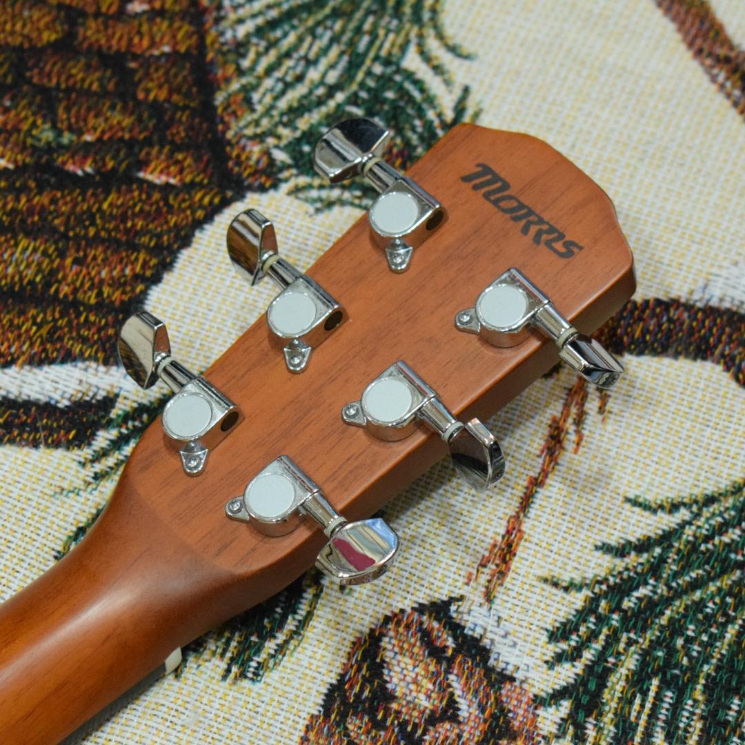 Morris F-01 II NAT 状態良好 ソフトケース付き