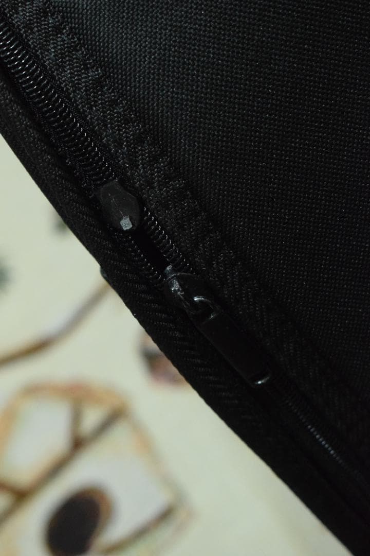 Morris F-01 II NAT 状態良好 ソフトケース付き