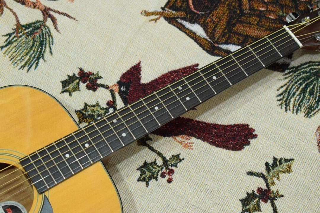 Morris F-01 II NAT 状態良好 ソフトケース付き