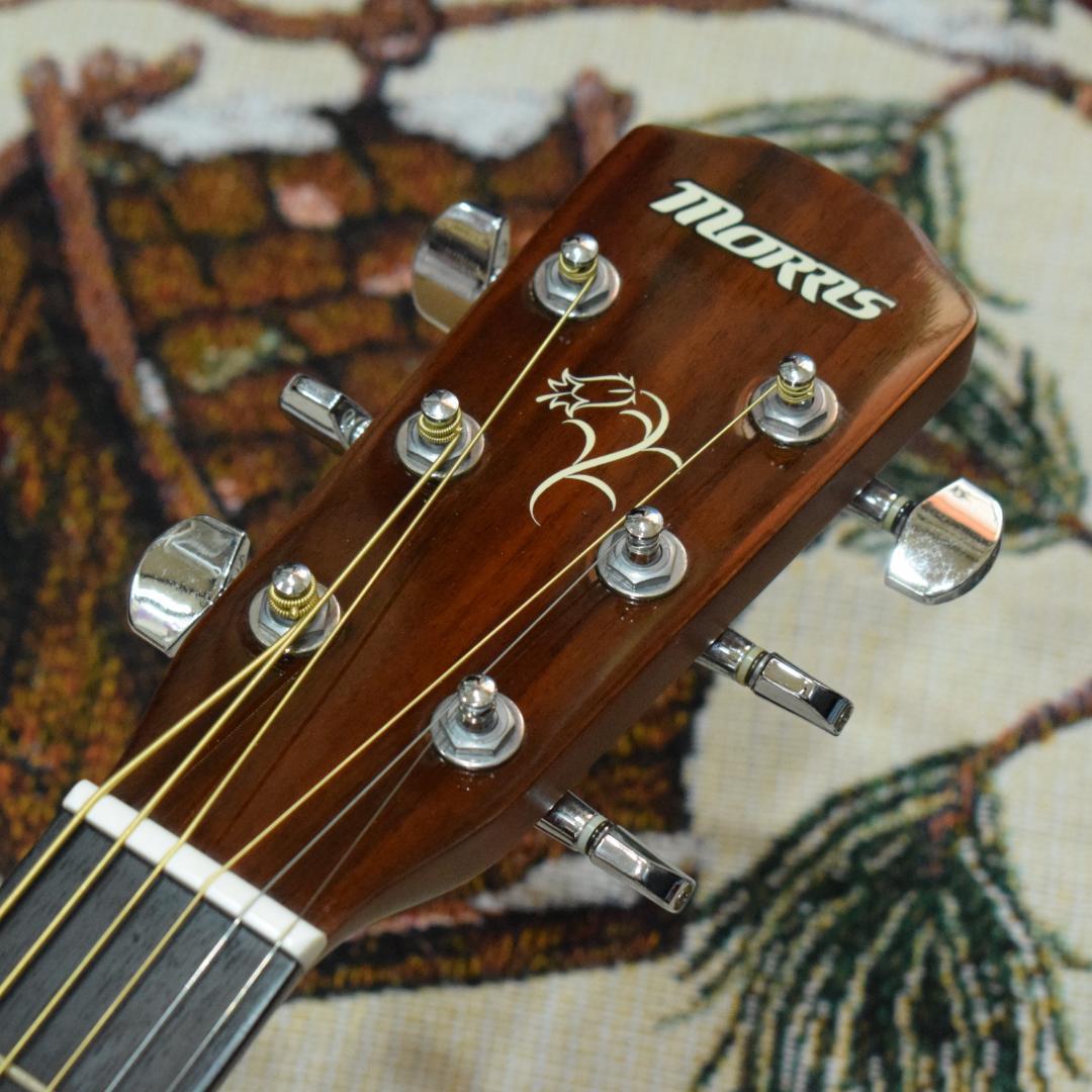 Morris F-01 II NAT 状態良好 ソフトケース付き