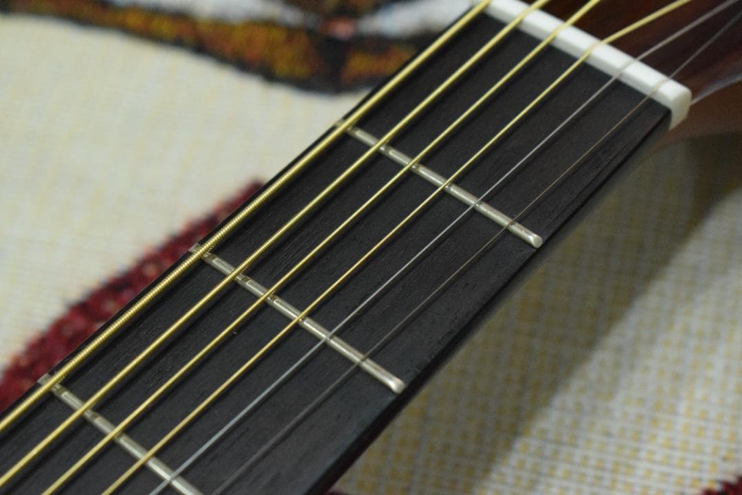 Morris F-01 II NAT 状態良好 ソフトケース付き