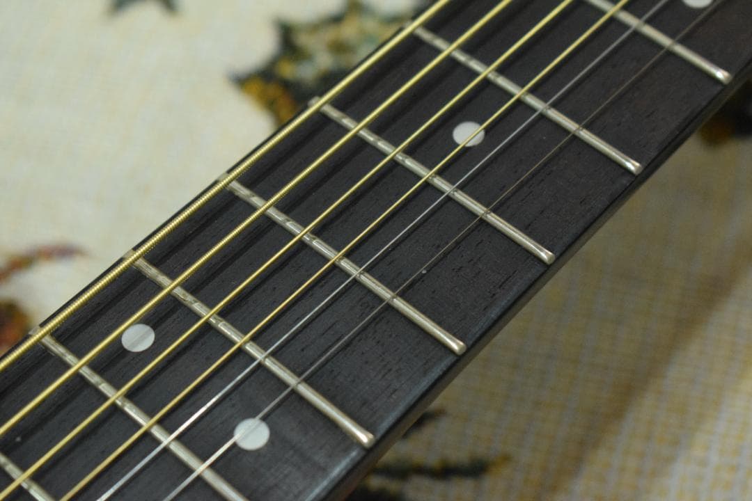 Morris F-01 II NAT 状態良好 ソフトケース付き