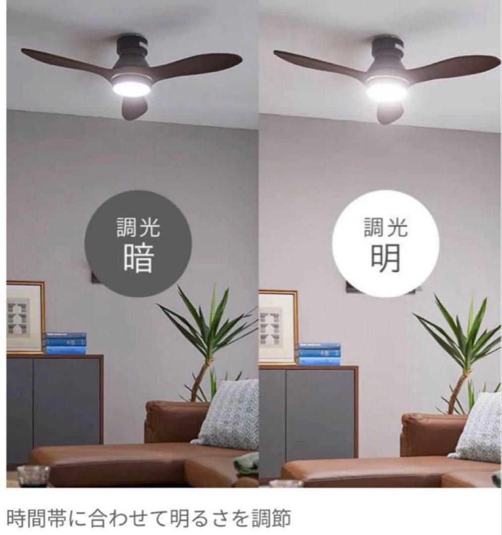 新品!LOWYA シーリングファンライトニュージャバリア2 ブラック/ブラウン