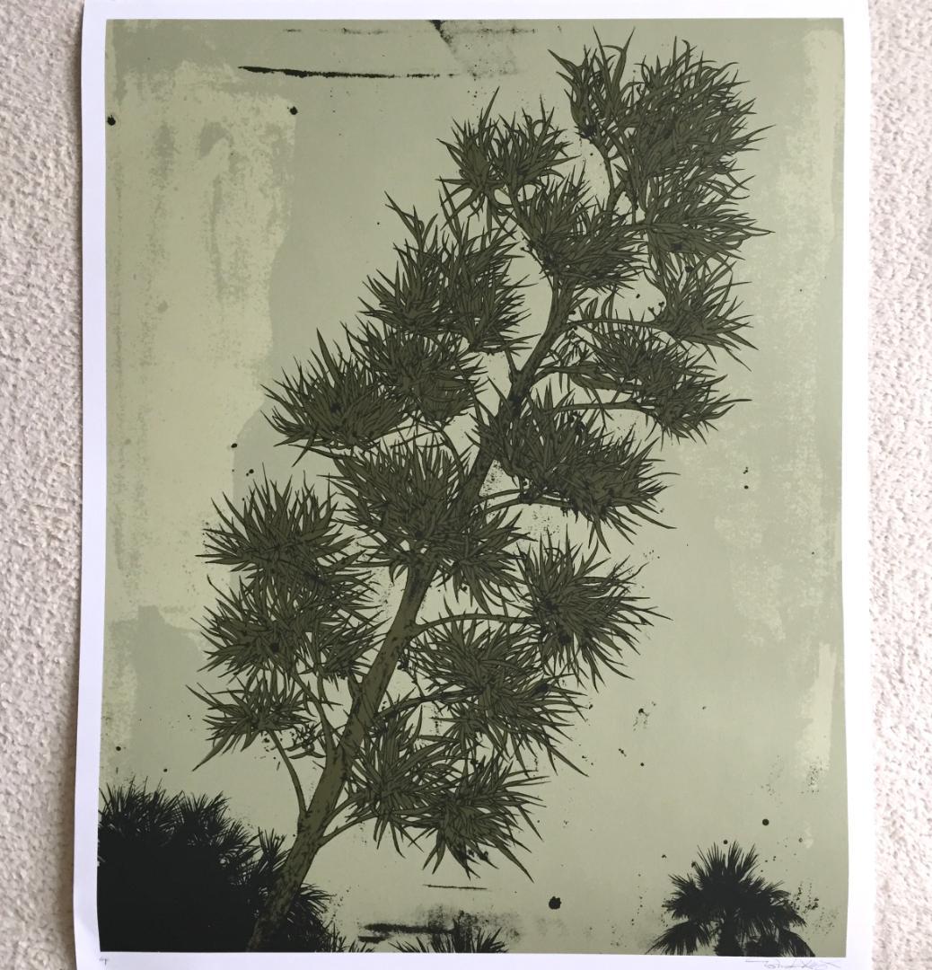 Evan Hecox Palm Spring Desert ポスター サイン入り