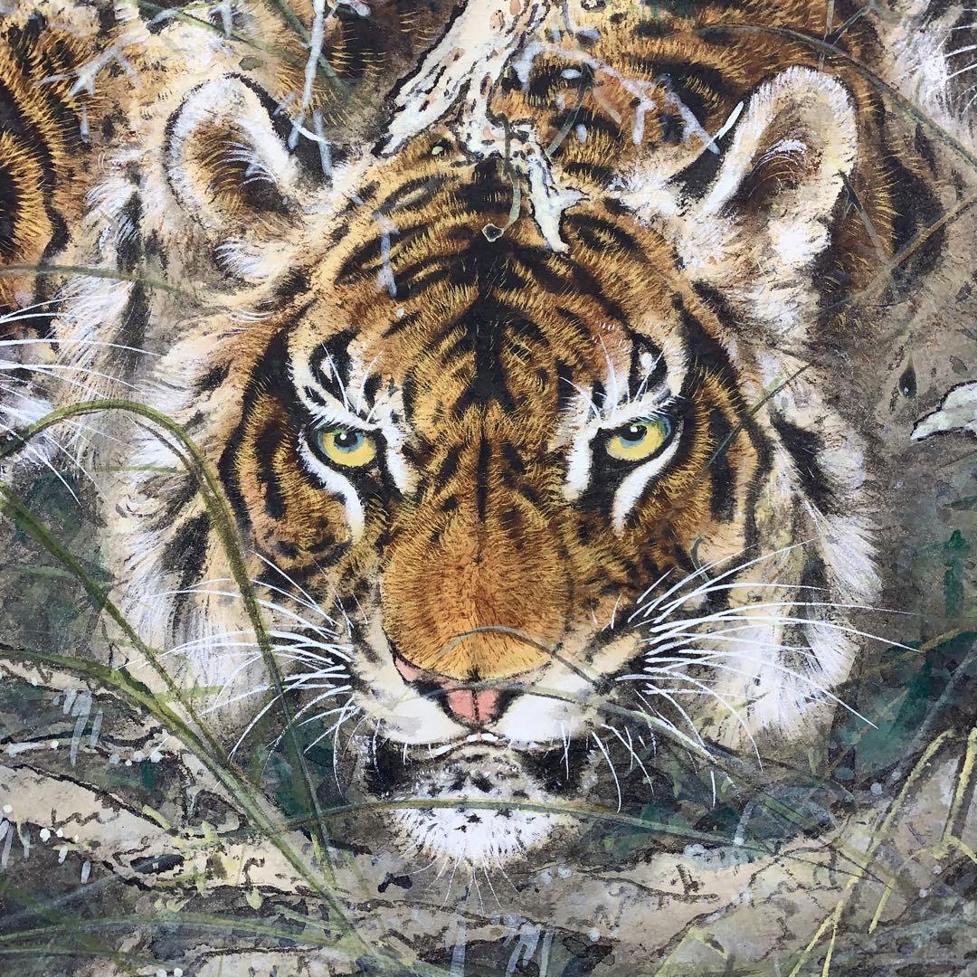 【掛軸】虎 猛虎 木箱 三頭 寅