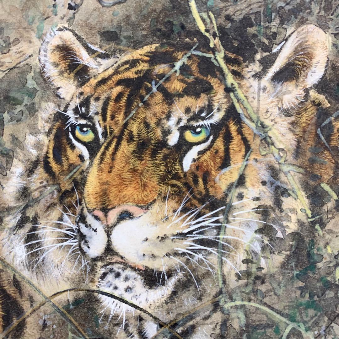 【掛軸】虎 猛虎 木箱 三頭 寅