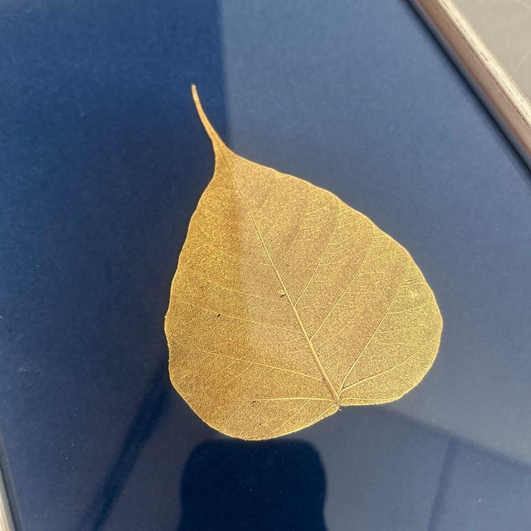 菩提樹の葉 菩提樹葉 純金箔 サイズ(約)：縦27.5cm 横20cm 幅2cm