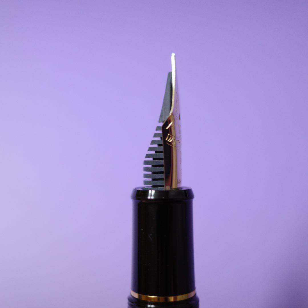 万年筆 #3776 センチュリー発売10周年記念 　ディケイド F 細字