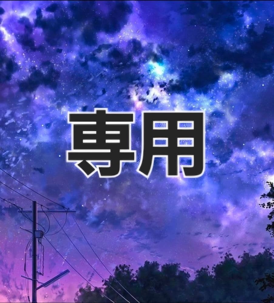 現在専用中 即購入厳禁