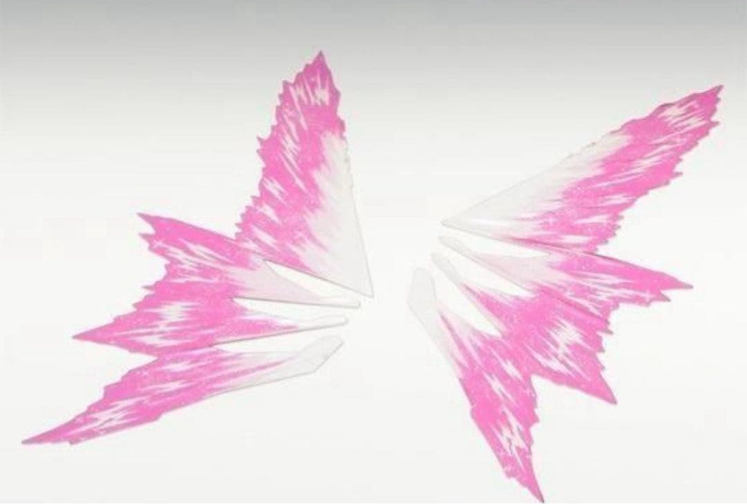 RG 1/144 デスティニーガンダム ［チタニウムフィニッシュ］光の翼セット