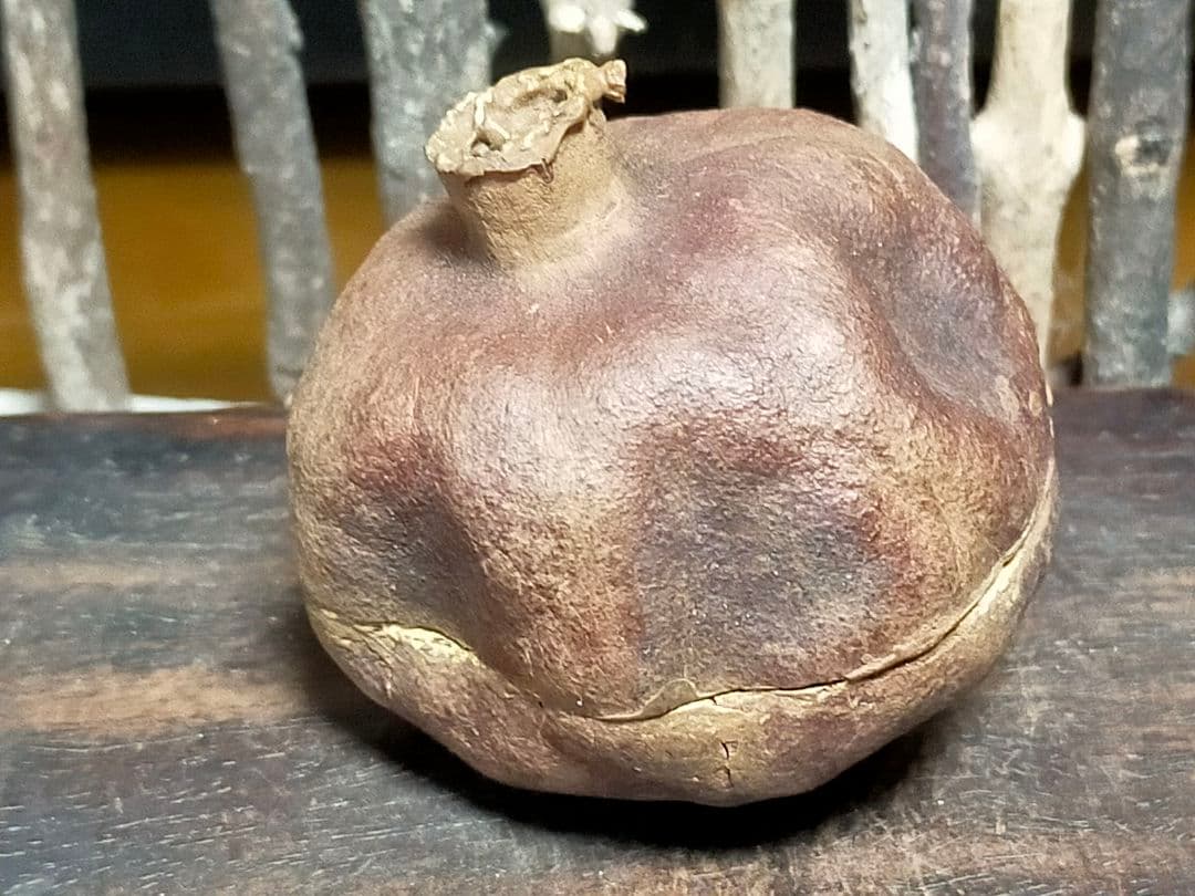 ♥荒川武夫　柘榴　香合　共箱付き　ザクロ　水月窯　荒川豊蔵　骨董　古玩