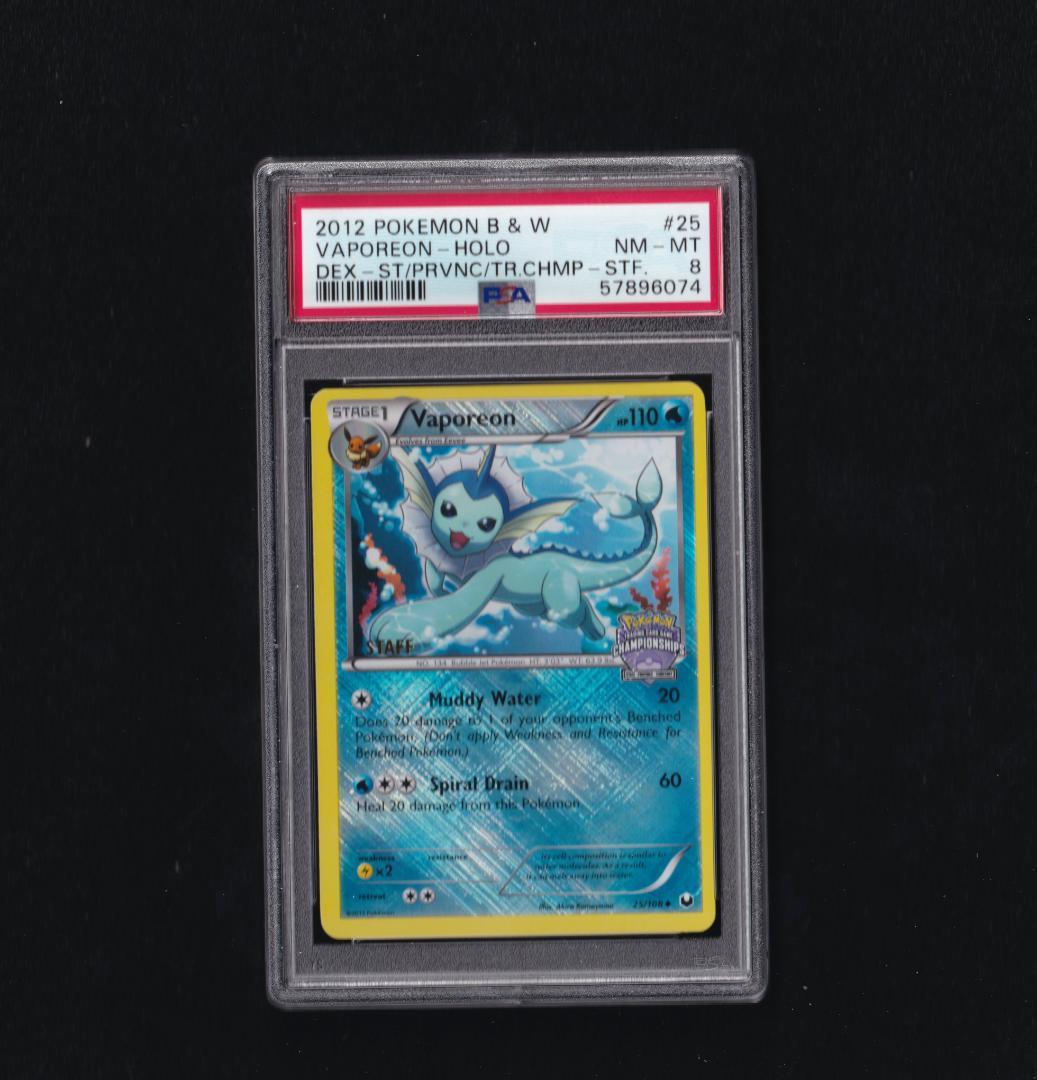 英版シャワーズ チャンピオンシップSTAFFプロモ - PSA NM-MT8