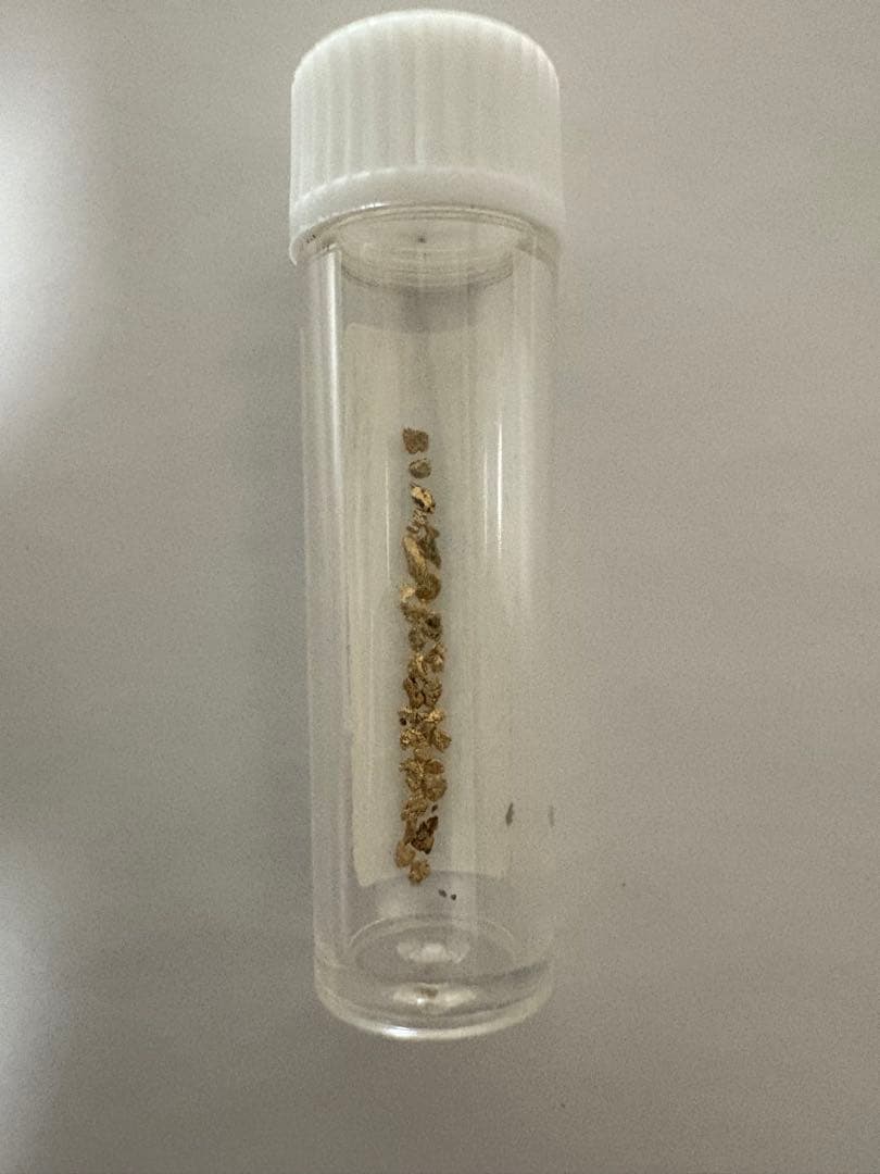 砂金掘り　砂金20粒以上 佐渡西三川ゴールドパーク